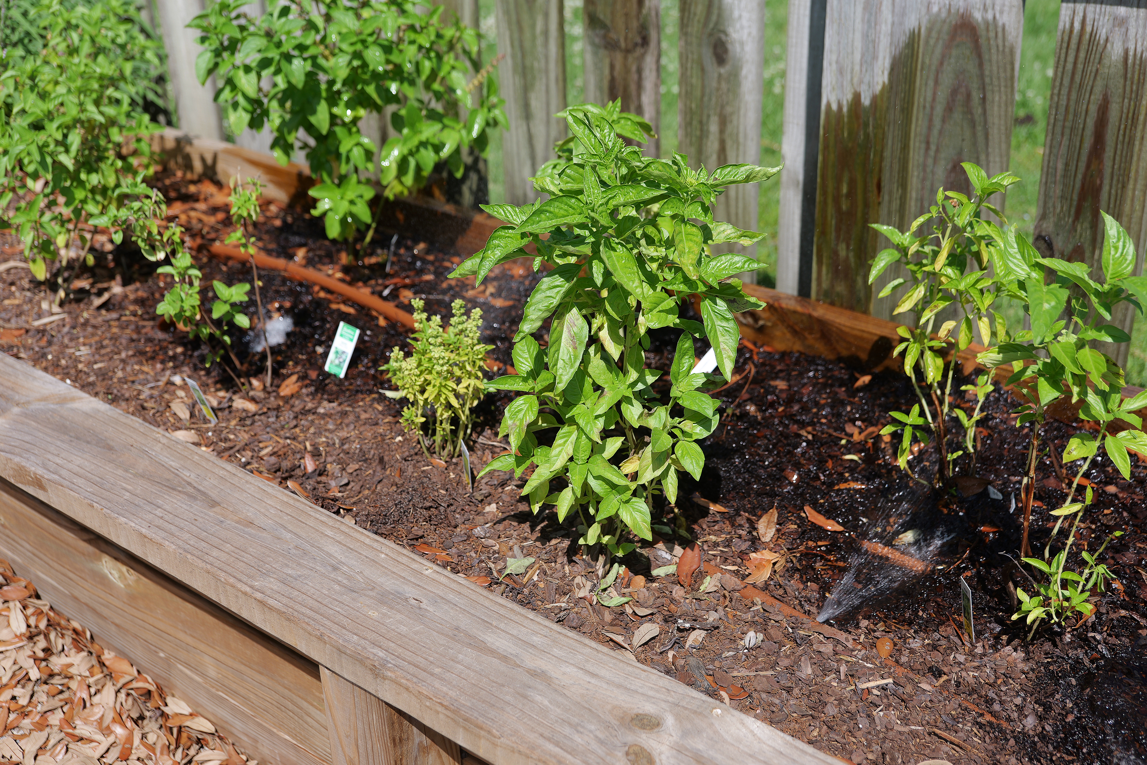 Secrets to Raised Bed Gardening